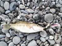 Конкуренты на точке: когда рядом сильные, приходится искать ритм проводки и паузы