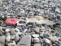 Конкуренты на точке: когда рядом сильные, приходится искать ритм проводки и паузы