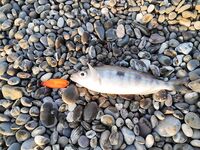 Конкуренты на точке: когда рядом сильные, приходится искать ритм проводки и паузы