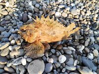 Конкуренты на точке: когда рядом сильные, приходится искать ритм проводки и паузы