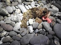 Конкуренты на точке: когда рядом сильные, приходится искать ритм проводки и паузы