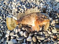 Конкуренты на точке: когда рядом сильные, приходится искать ритм проводки и паузы