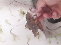 Фотопауза у кромки моря: фиксирую рельеф и свалы для следующих выходов ночью