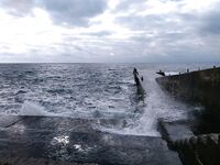 Юг: разнообразие видов и зависимость от погоды — сарган, смарида, кефаль, ставрида