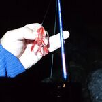 Совет по Адлеру: раки на огруженных офсетах 2–5 г, воблер реже, ставрида — блесна с червём