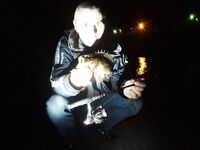 Вечерний выход: рыбе больше по душе отводной, у меня — трофей покрупнее