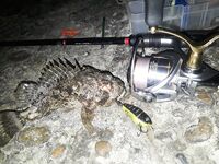 Горбыля не поймали, ерш почти молчал, но ключ подобрал на проводке