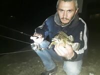 Горбыля не поймали, ерш почти молчал, но ключ подобрал на проводке