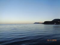 Большой Утриш в ноябре: бомбарда с опарышем и «нереисом», сарган единичный