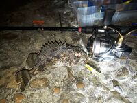 Если глубже 2,5 м — воблеры не ставлю: ёрш клевал мельче метра