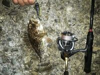 Если глубже 2,5 м — воблеры не ставлю: ёрш клевал мельче метра