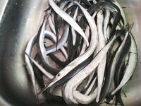 Чёрное море: короткая пометка без деталей по выезду