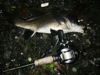 Датчики в воде каждые 20 минут: сверял с эхолотом — сходится