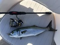 Первый комплект готов: проверю на вечернем выходе по ставриде