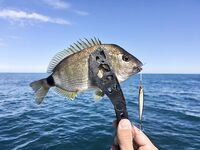 Первый комплект готов: проверю на вечернем выходе по ставриде