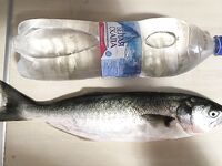 Первый комплект готов: проверю на вечернем выходе по ставриде