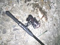 Бомбарда и тиролька после паузы: 15 хвостов и апгрейд катушки