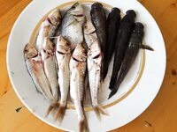 Крючки и пасти: от #2 к #1, а для горбыля и 10-й слим на отводной с маракуйей