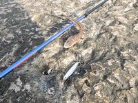 ЮБК: ожидал проще, а вышло «как на соревнованиях», но пилькер выручал по саргану