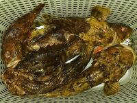 Форос, рассвет без саргана: дочка наловила ершей и уснула в машине