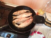 ЮБК, луфари и луна: ночная охота и поломанное удилище в разгар клева