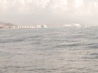 Адлер, лодка: ставрида «сумасшедшая», немного анчоуса и мерланга, ~9 кг