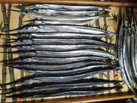 Груз под обрез: регулирую вес прямо на месте — рыбалка без лишних коробок