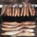 Имеретинка, граница и вечерний темп: рыбалка за пару часов по кромке волнореза