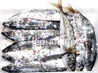 Сушка под пиво: соль в любой ёмкости и складная сушилка за 450 р