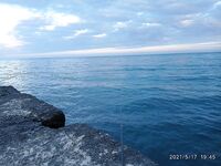 Алушта: на поплавок с рыбьей насадкой пока ноль, но самодур «валит» с буны