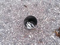 Конец мая — лучший клев на море: место Чабан-Коле отмечаю жирным