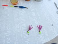 По нулям на поплавок и донку: самодуры тоже мимо, барабуля только у «умеющих»