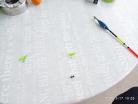 По нулям на поплавок и донку: самодуры тоже мимо, барабуля только у «умеющих»