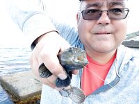 Бычара порадовал: уверенная поклёвка и короткий бой в камнях