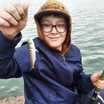 Мамайка, волнорез с 6 до 9: ставрида и окунь на половинку местной креветки