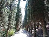 Спасибо, Крым: море, ветер и точки — записал в блокнот