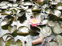 Спасибо, Крым: море, ветер и точки — записал в блокнот