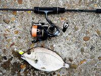 Новомихайловский и Лермонтово: карась только подходит, непогода тормозит