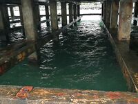 Новомихайловский и Лермонтово: карась только подходит, непогода тормозит