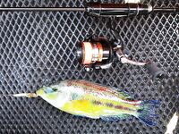 Новомихайловский и Лермонтово: карась только подходит, непогода тормозит