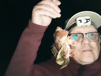 Купальный азарт и ветер: ставрида слабая, барабулька мимо — учусь на дроп-шот