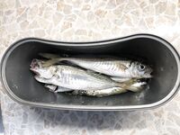 Севастополь вечером: «шпроты» вперемешку, килограммом мерной закрылся