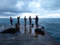 Южак залил пирсы наполовину: в мутной воде пилькер дал «товарку», но сходов море