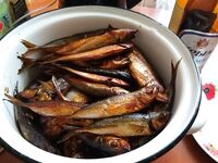 Похолодание воды — рыба ушла: за час один нанодракончик и всё