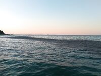 Севастополь, рассвет и мусорные «окна»: как ставрида меняла приманки по ходу дня