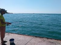 Севастополь, рассвет и мусорные «окна»: как ставрида меняла приманки по ходу дня