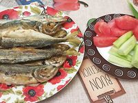 С пирса — хамса, с лодки — скумбрия: морская рыбалка показала разницу по ставриде