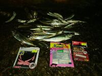 Пляж, мидии и бомбарда: рыбалка между тостами — дочка с первого заброса поймала «мутанта»