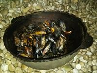 Пляж, мидии и бомбарда: рыбалка между тостами — дочка с первого заброса поймала «мутанта»