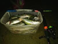 Выбор палок под море: рыбалка показала, что Viper Select 802 и X1 702M закрывают темы